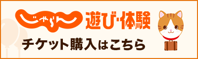 https://www.kawanakajimaonsen.com/acms/wp-content/uploads/2023/09/bnr_c_tiket.png